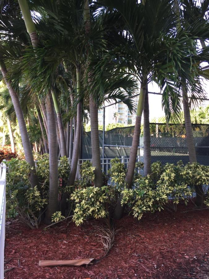 Disfruta Sunny Isles Ocean 1206 Str-02816 Apartman Miami Beach Kültér fotó